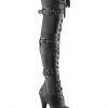 Gothic Boots Pleaser FLAMINGO-3028 Boots