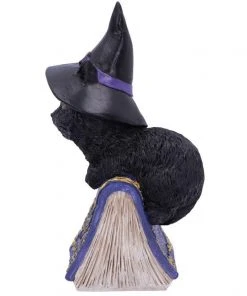 Nemesis Now Pocus Cat Figurine All Homeware