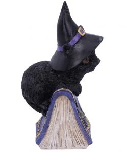 Nemesis Now Pocus Cat Figurine All Homeware