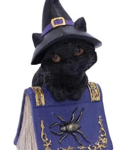 Nemesis Now Pocus Cat Figurine All Homeware