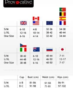 Provocative Black Bodystocking 4692 Bodystockings