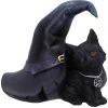 Nemesis Now All Homeware Prue Witches Cat Figurine