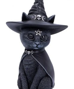 Nemesis Now All Homeware Owlocen And Purrah