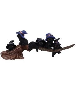 Nemesis Now Purrfect Broomstick Cats All Homeware