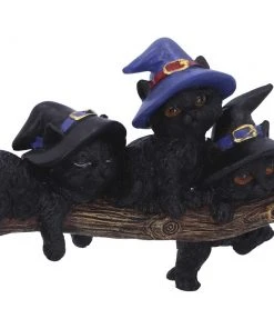 Nemesis Now Purrfect Broomstick Cats All Homeware