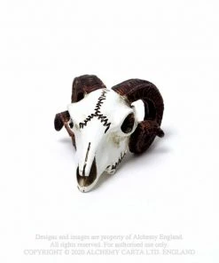 Alchemy Gothic All Homeware Alchemy Rams Skull Miniture