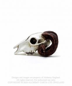 Alchemy Gothic All Homeware Alchemy Rams Skull Miniture