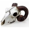 Alchemy Gothic All Homeware Alchemy Rams Skull Miniture