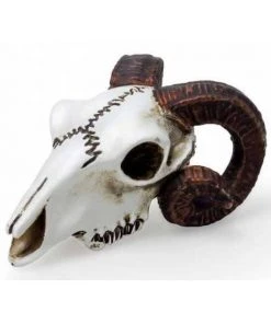 Alchemy Gothic All Homeware Alchemy Rams Skull Miniture