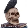 Nemesis Now Raven's Spell Figurine All Homeware