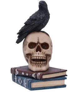 Nemesis Now Raven's Spell Figurine All Homeware