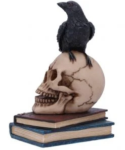 Nemesis Now Raven's Spell Figurine All Homeware