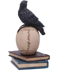 Nemesis Now Raven's Spell Figurine All Homeware