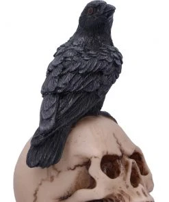 Nemesis Now Raven's Spell Figurine All Homeware