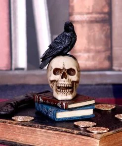 Nemesis Now Raven's Spell Figurine All Homeware