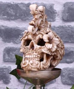 Nemesis Now Rococo Skull All Homeware 15 Nemesis Now Rococo Skull All Homeware