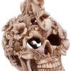 Nemesis Now Rococo Skull All Homeware 1 Nemesis Now Rococo Skull All Homeware