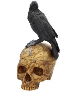 Nemesis Now All Homeware Salems Familiar