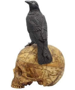 Nemesis Now All Homeware Salems Familiar