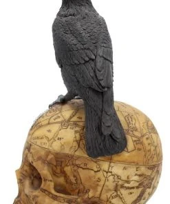 Nemesis Now All Homeware Salems Familiar