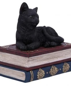 Nemesis Now Salems Spells Cat Box