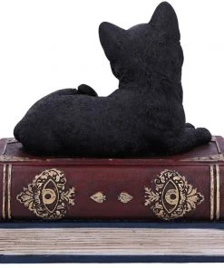 Nemesis Now Salems Spells Cat Box