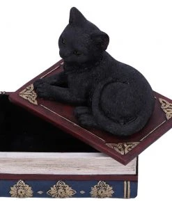 Nemesis Now Salems Spells Cat Box