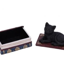 Nemesis Now Salems Spells Cat Box