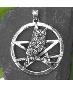Seventh Sense Owls Rest With Pentagram Pendant Silver