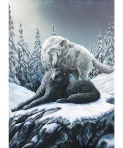 Something Different Lisa Parker Snow Kisses Picture