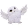 Nemesis Now Snowy Delight Owl All Homeware