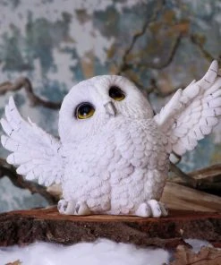 Nemesis Now Snowy Delight Owl All Homeware