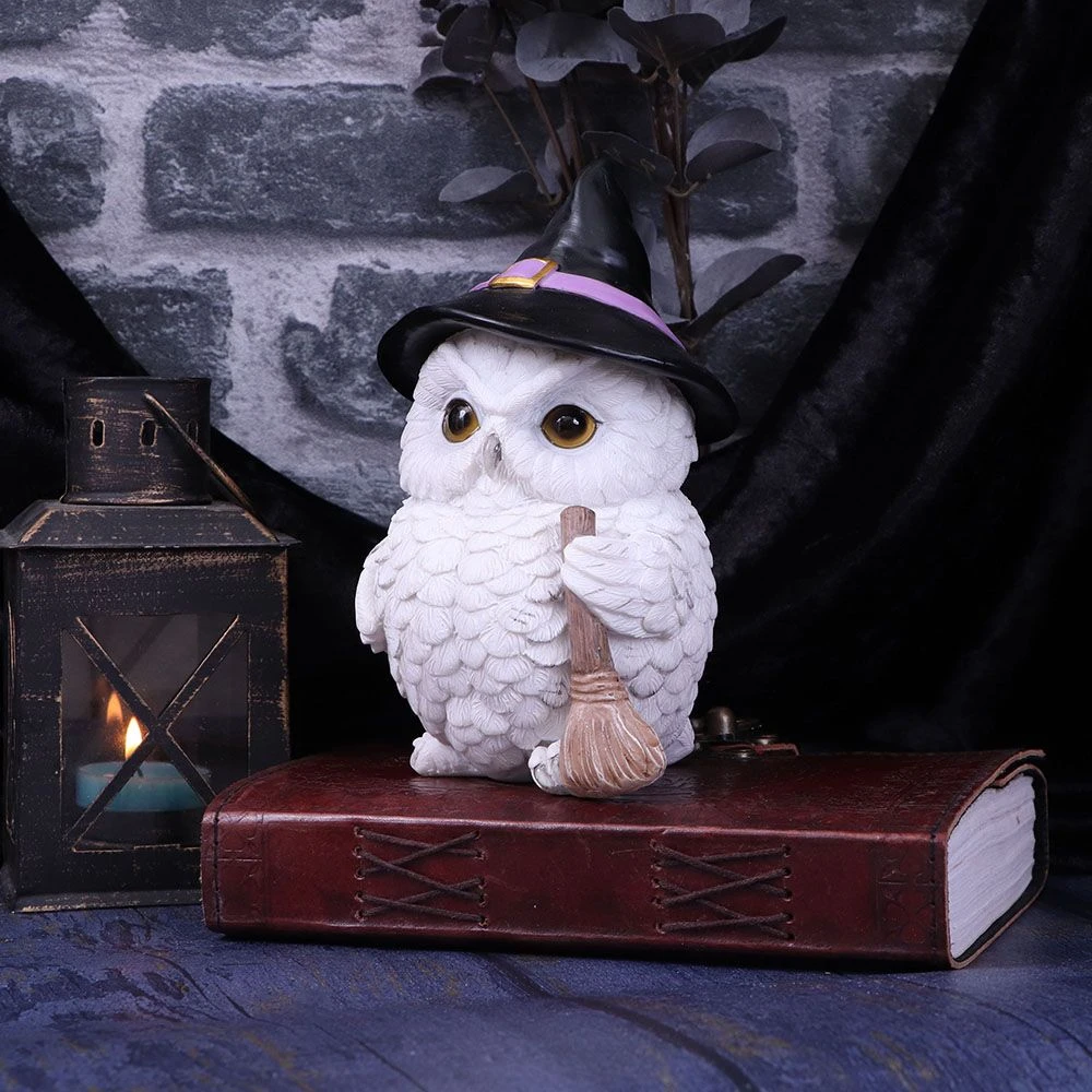Nemesis Now Snowy Magic Witch Owl All Homeware 9 Nemesis Now Snowy Magic Witch Owl All Homeware
