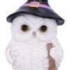 Nemesis Now Snowy Magic Witch Owl All Homeware