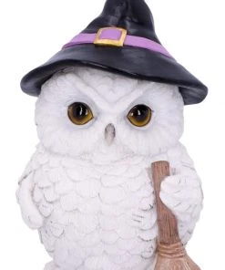 Nemesis Now Snowy Magic Witch Owl All Homeware