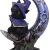 Nemesis Now All Homeware Sooky Witches Cat