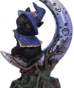 Nemesis Now All Homeware Sooky Witches Cat