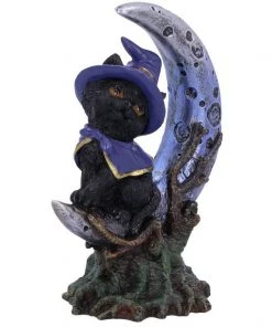 Nemesis Now All Homeware Sooky Witches Cat 11 Nemesis Now All Homeware Sooky Witches Cat