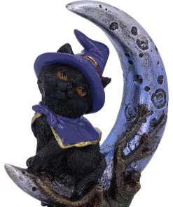Nemesis Now All Homeware Sooky Witches Cat 12 Nemesis Now All Homeware Sooky Witches Cat
