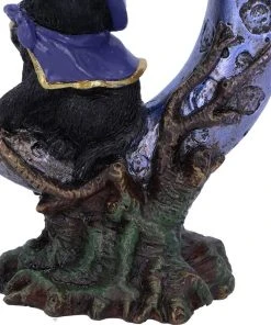 Nemesis Now All Homeware Sooky Witches Cat 13 Nemesis Now All Homeware Sooky Witches Cat