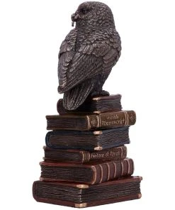 Nemesis Now Spellcraft Wizard Owl