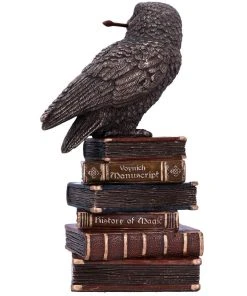 Nemesis Now Spellcraft Wizard Owl