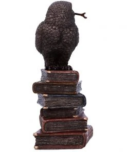 Nemesis Now Spellcraft Wizard Owl