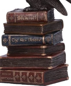 Nemesis Now Spellcraft Wizard Owl