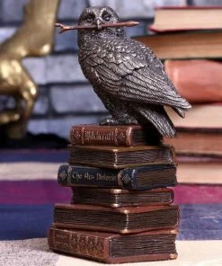 Nemesis Now Spellcraft Wizard Owl