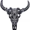 Nemesis Now Spiritual Remains Skull All Homeware