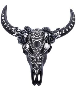 Nemesis Now Spiritual Remains Skull All Homeware