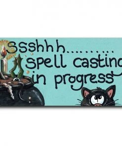 Something Different Ssshhh Spell Casting In Progress Smiley Fridge Magnet