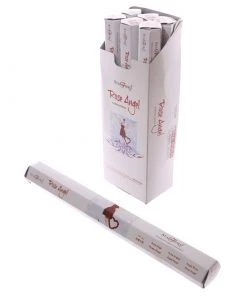 Puckator Stamford Mystical Hex Rose Angel Incense Sticks All Homeware