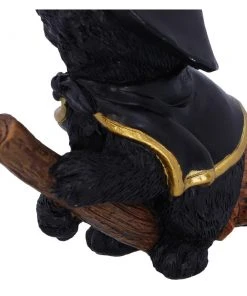 Nemesis Now Tabitha Witch Cat All Homeware